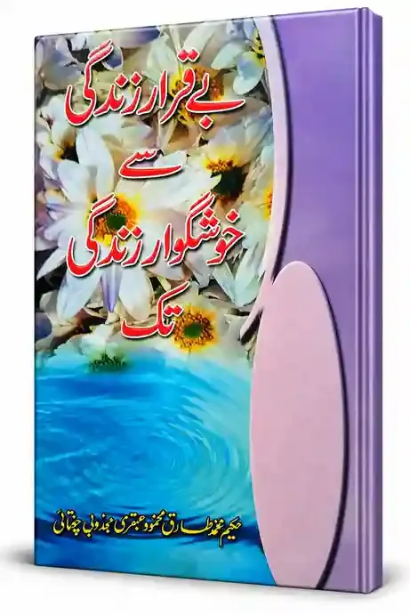 بے قرار زندگی سے خوشگوار زندگی تک | Beqarar Zindagi Se Khushgawar Zindagi Tak